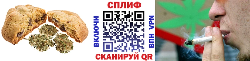 купить закладку  гидра онион  Cannafood конопля  Приозерск 
